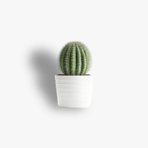 MiniCactus Ceramic Planter